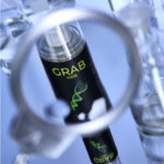 Grab Hair (7)